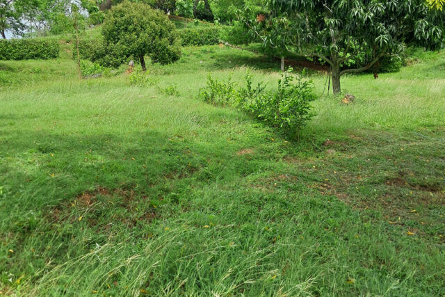 Vendo Lote en Tocaima (1.360 m2)