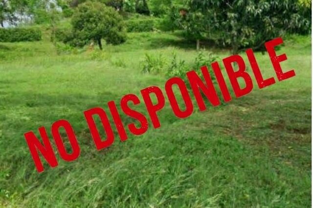 Vendo Lote en Tocaima (1.360 m2)